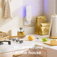 Premium Indoor Fruit Fly Trap™