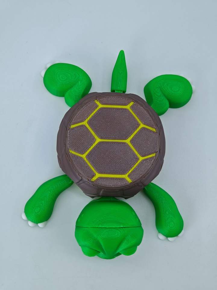 Whimsical Turtle Coaster™